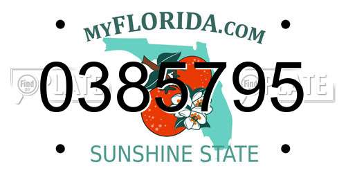 0385795 Florida License Plate
