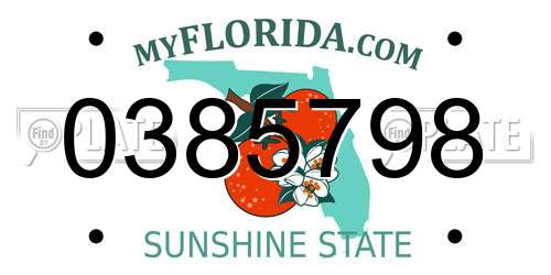 0385798 Florida License Plate