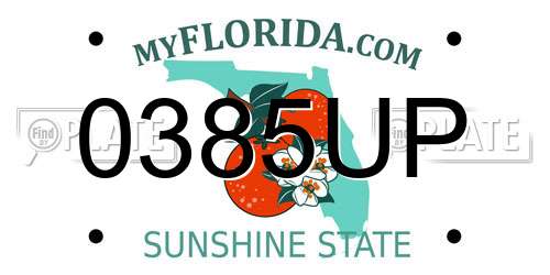 0385UP Florida License Plate
