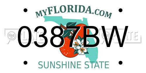 0387BW Florida License Plate