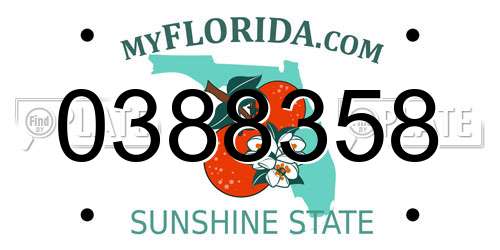 0388358 Florida License Plate