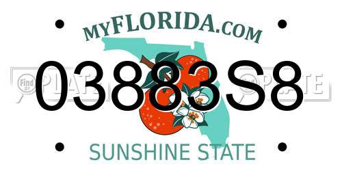 03883S8 Florida License Plate