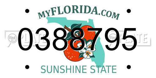 0388795 Florida License Plate