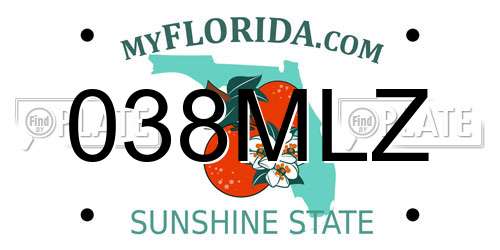 038MLZ Florida License Plate