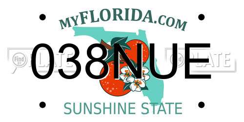038NUE Florida License Plate