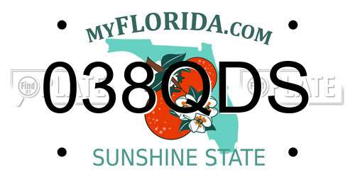 038QDS Florida License Plate