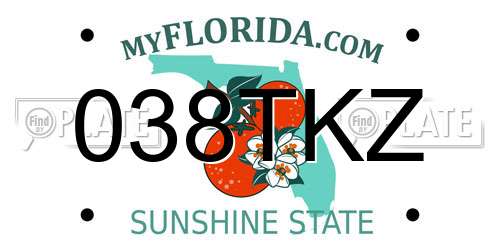038TKZ Florida License Plate