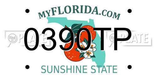0390TP Florida License Plate