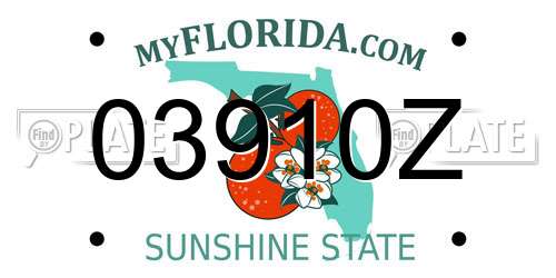 03910Z Florida License Plate