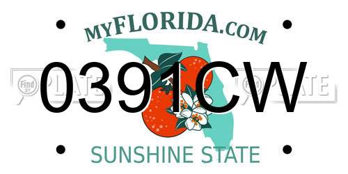 0391CW Florida License Plate