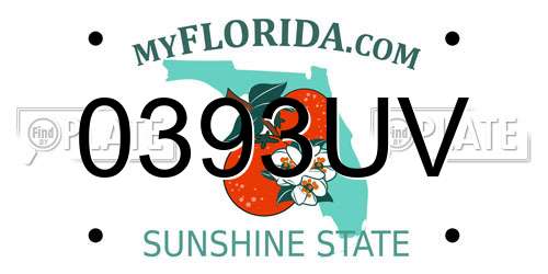 0393UV Florida License Plate