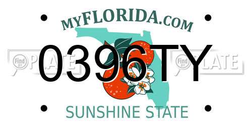 0396TY Florida License Plate