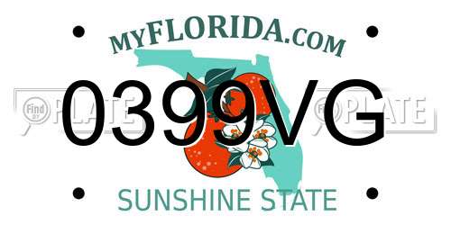 0399VG Florida License Plate