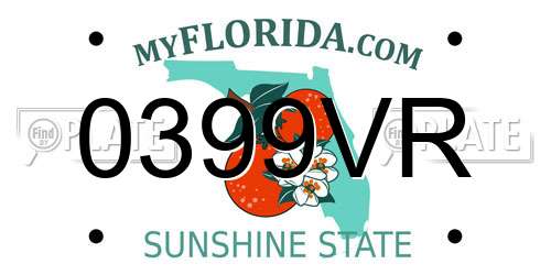 0399VR Florida License Plate