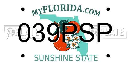 039PSP Florida License Plate