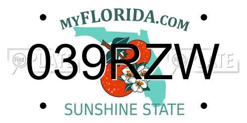 039RZW Florida License Plate