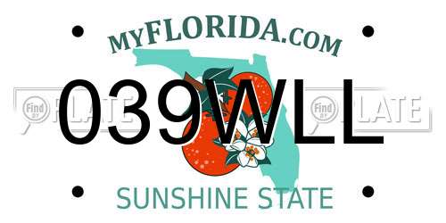 039WLL Florida License Plate