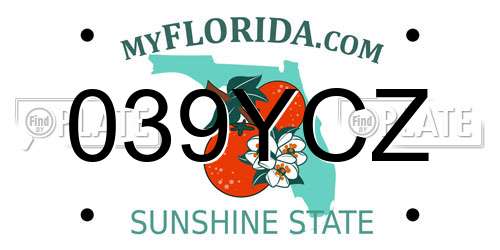 039YCZ Florida License Plate