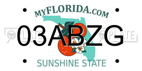03ABZG Florida License Plate