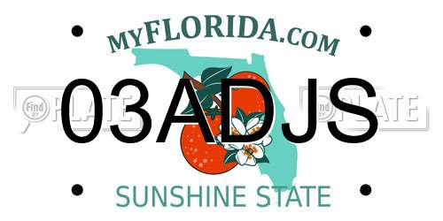 03ADJS Florida License Plate