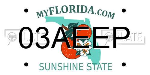 03AEEP Florida License Plate