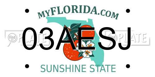 03AESJ Florida License Plate