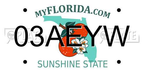 03AEYW Florida License Plate