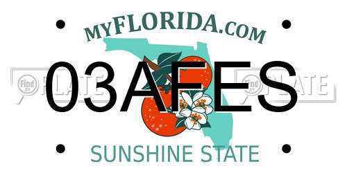 03AFES Florida License Plate