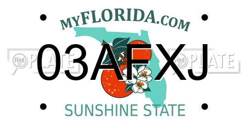 03AFXJ Florida License Plate