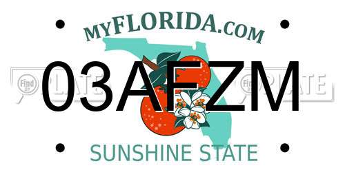 03AFZM Florida License Plate