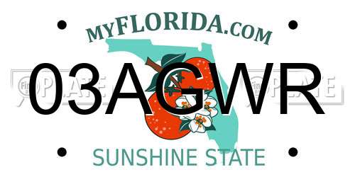 03AGWR Florida License Plate