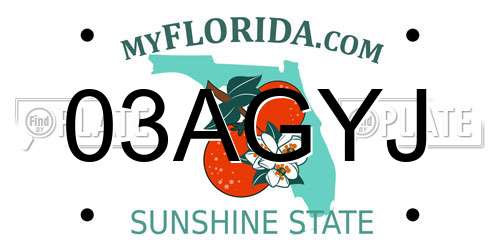 03AGYJ Florida License Plate