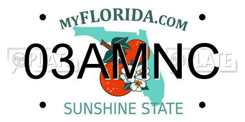 03AMNC Florida License Plate