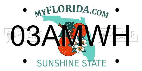 03AMWH Florida License Plate