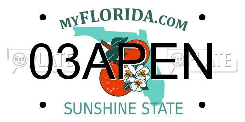 03APEN Florida License Plate