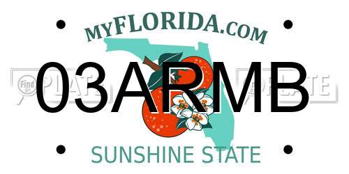 03ARMB Florida License Plate
