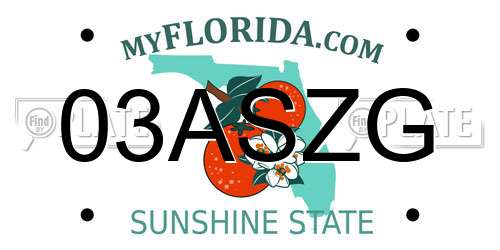 03ASZG Florida License Plate