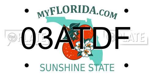 03ATDF Florida License Plate