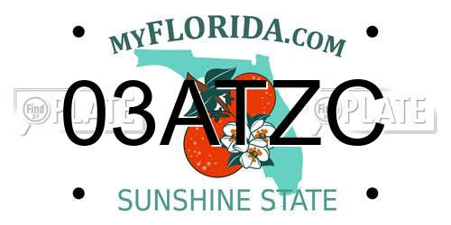03ATZC Florida License Plate