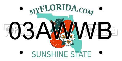 03AWWB Florida License Plate