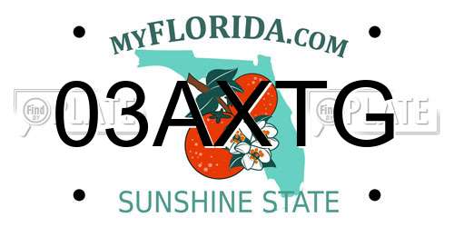 03AXTG Florida License Plate