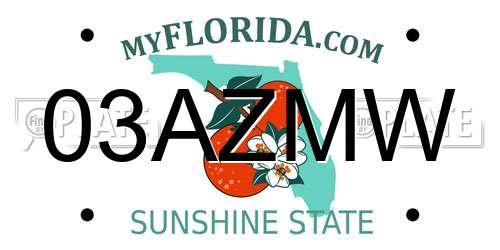 03AZMW Florida License Plate