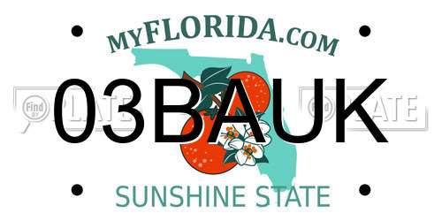 03BAUK Florida License Plate