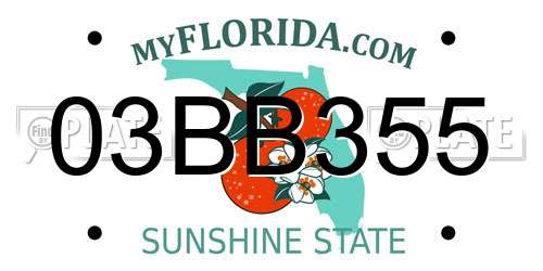 03BB355 Florida License Plate