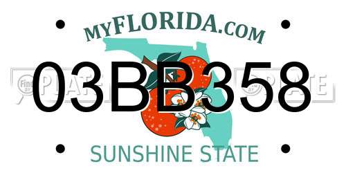 03BB358 Florida License Plate