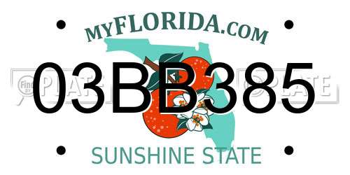 03BB385 Florida License Plate
