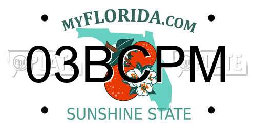 03BCPM Florida License Plate