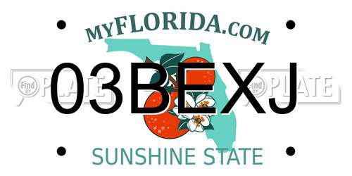 03BEXJ Florida License Plate