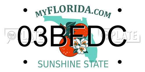 03BFDC Florida License Plate