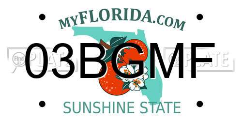 03BGMF Florida License Plate
